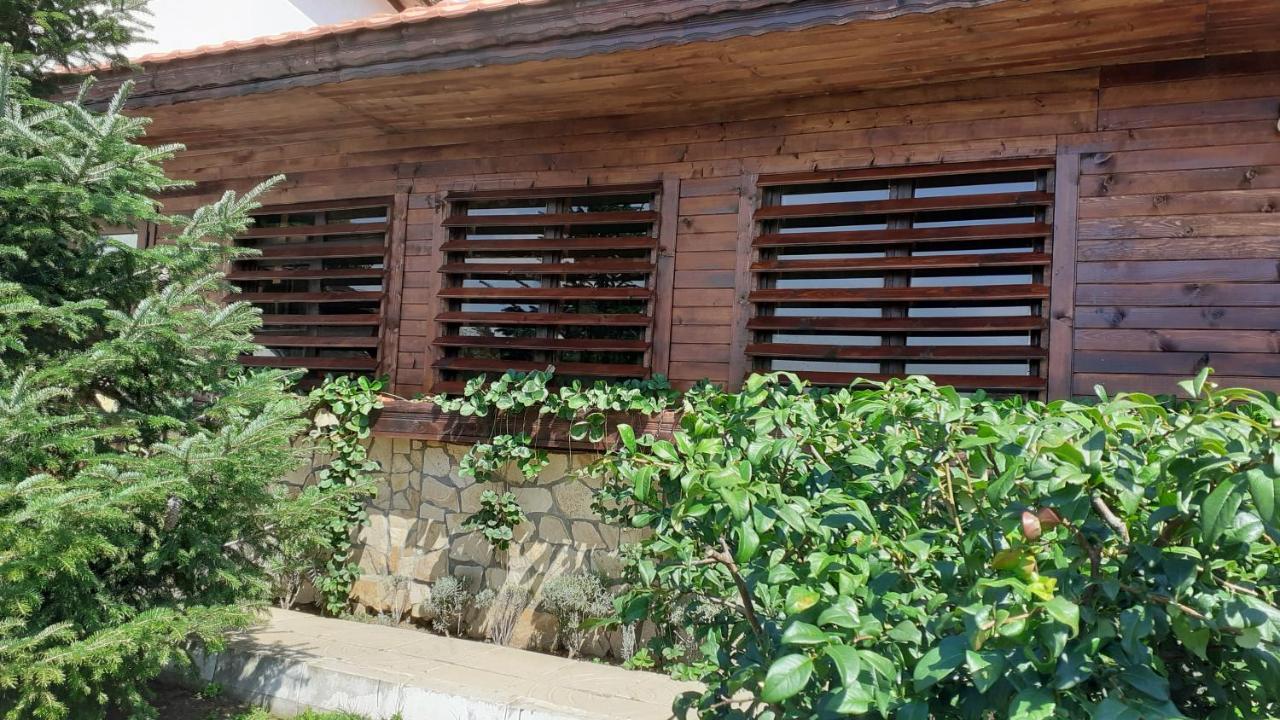 Guesthouse Dida Sapareva Banja Exteriér fotografie
