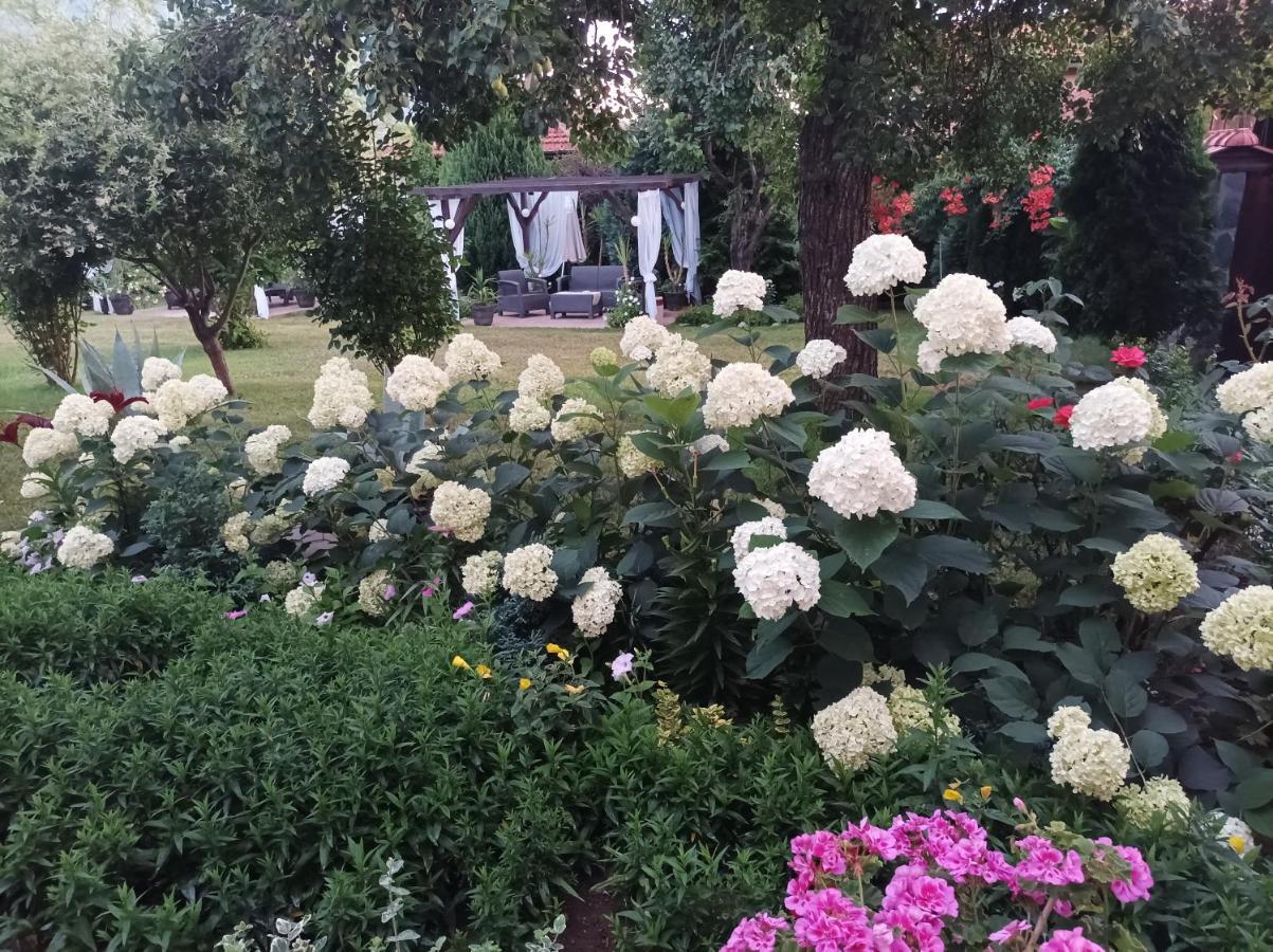 Guesthouse Dida Sapareva Banja Exteriér fotografie