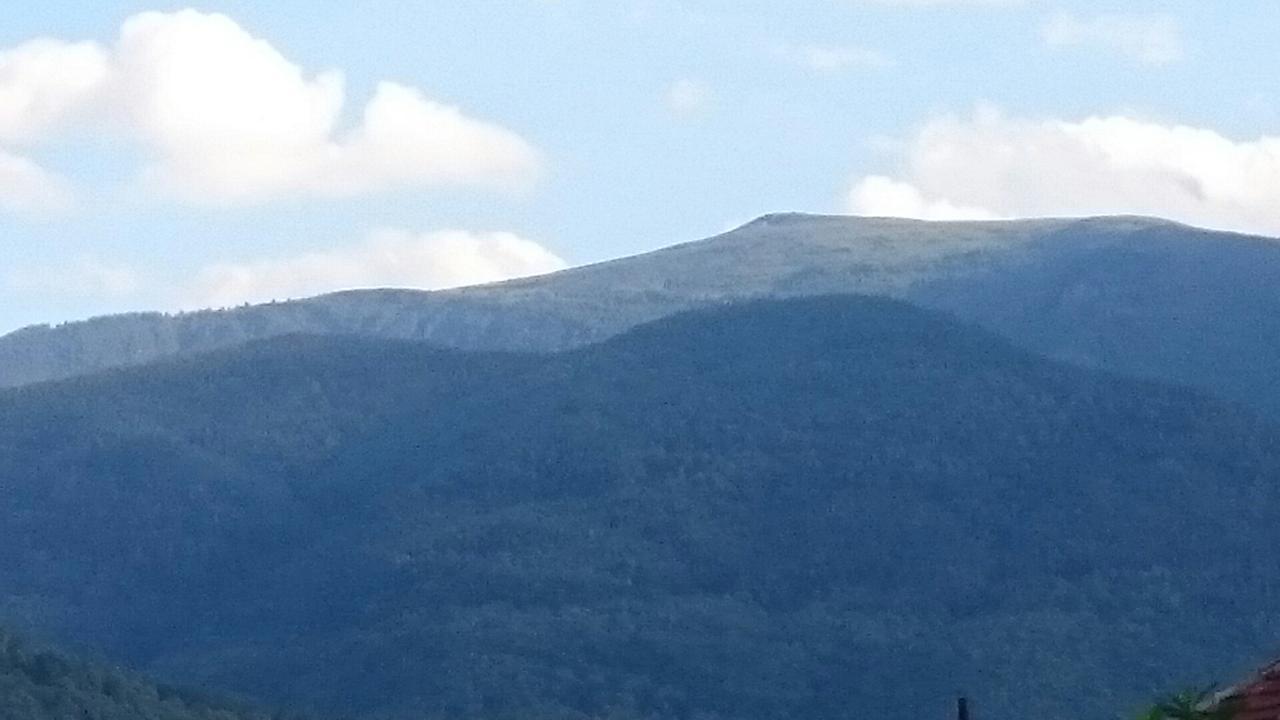Guesthouse Dida Sapareva Banja Exteriér fotografie